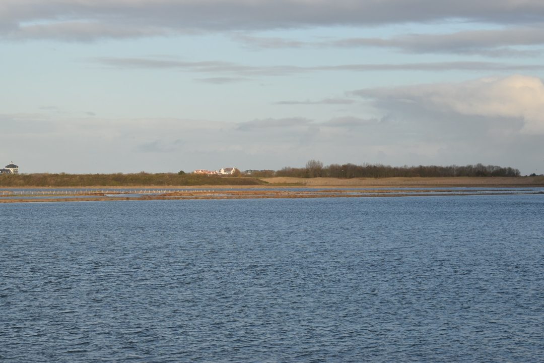 Hoge vloed in het Zwin