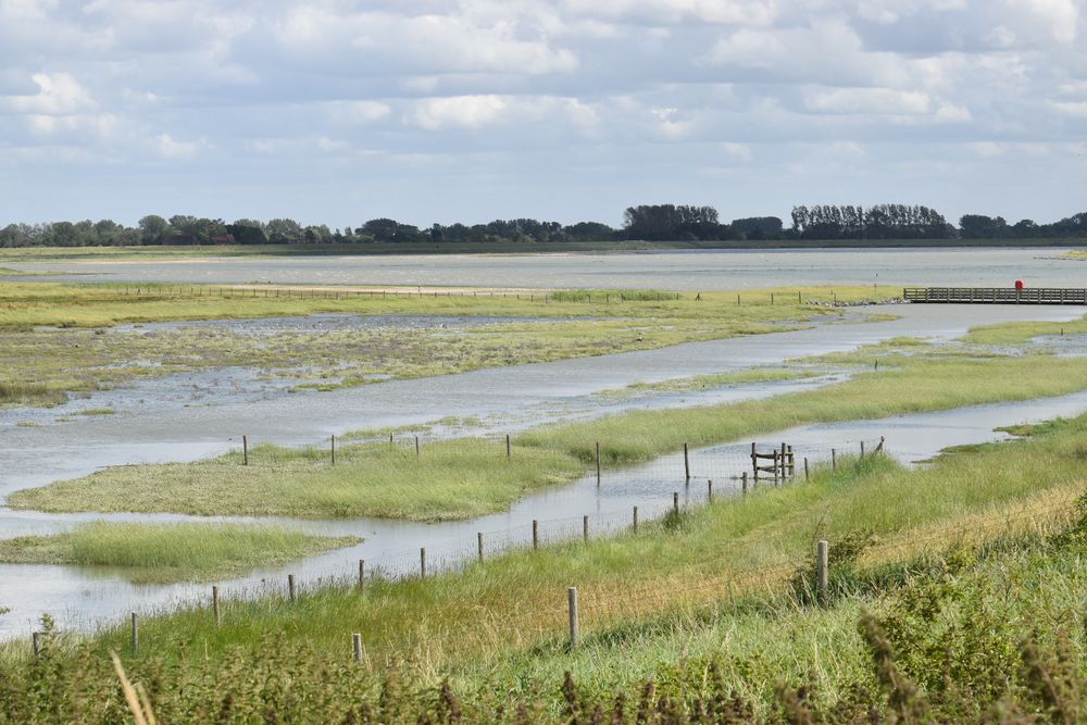 Het Zwin
