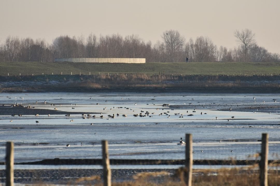 70 soorten vogels