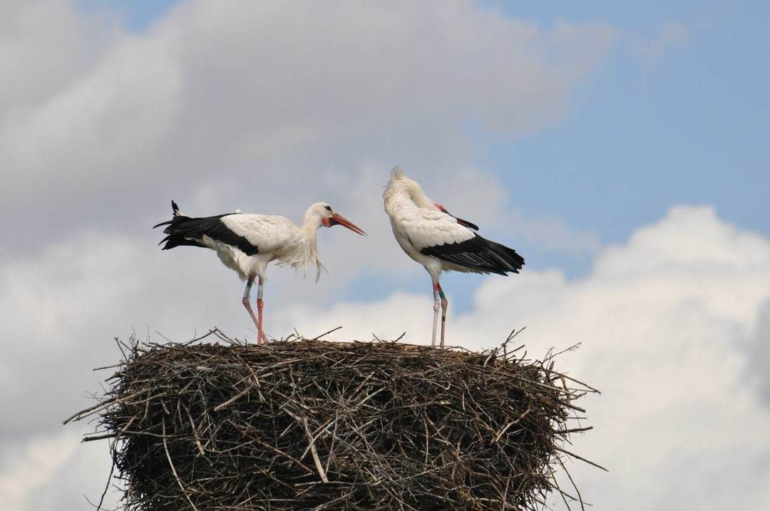 Geklepper in de lucht