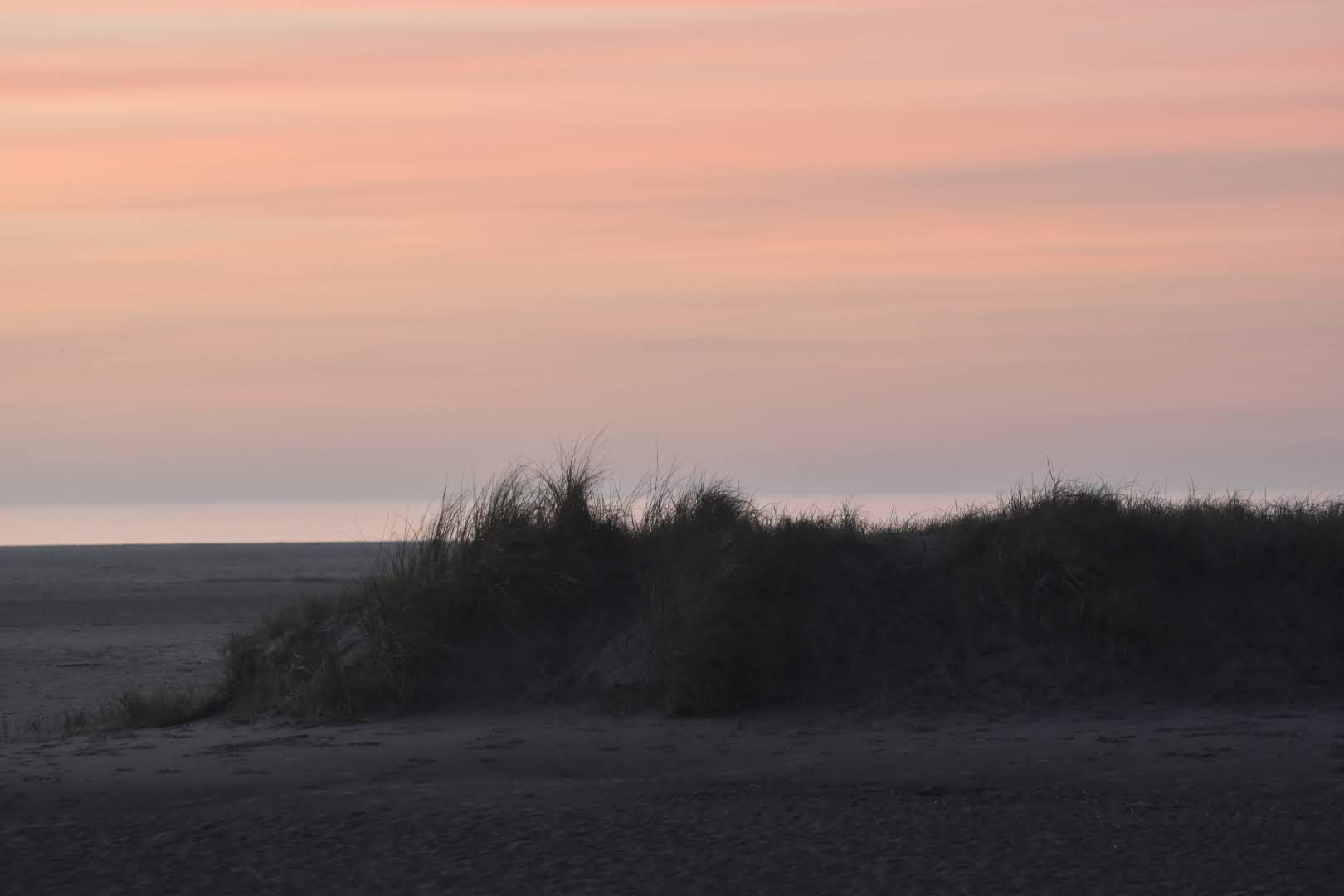 Duinen in het Zwin