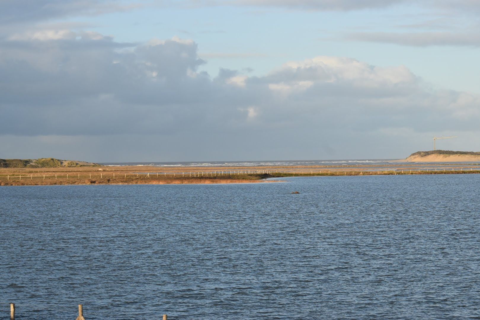 De maan trekt aan het water