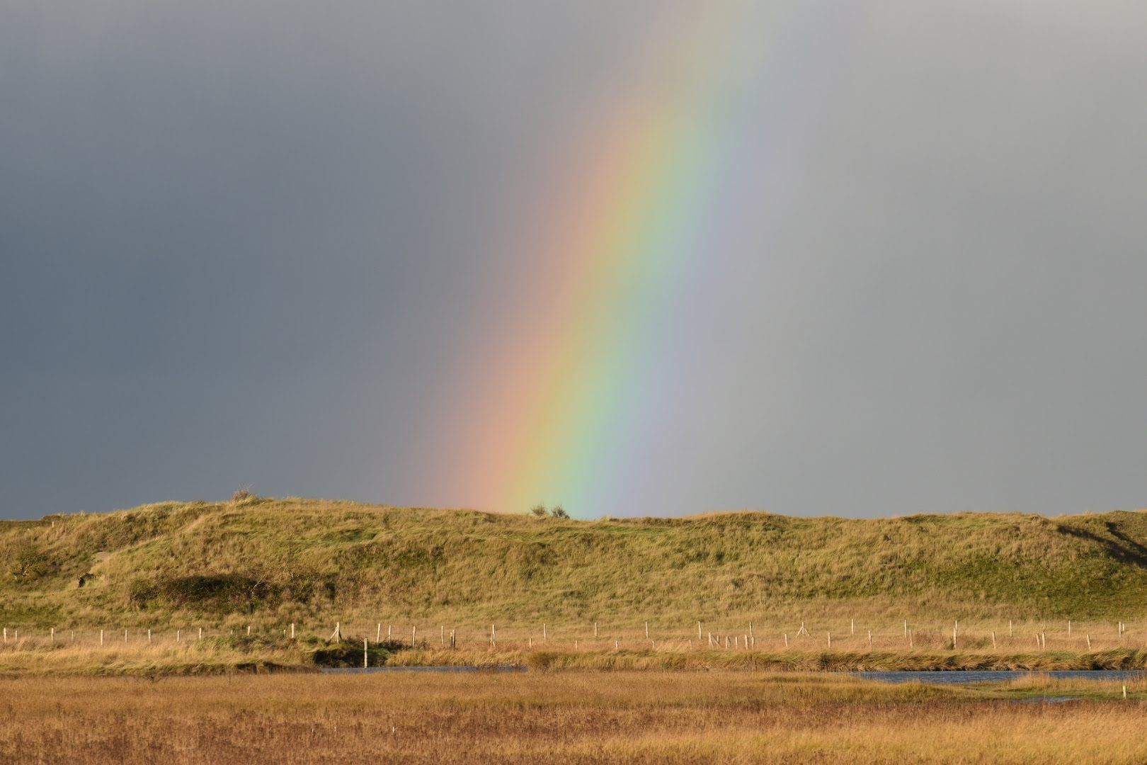 natuurnieuws