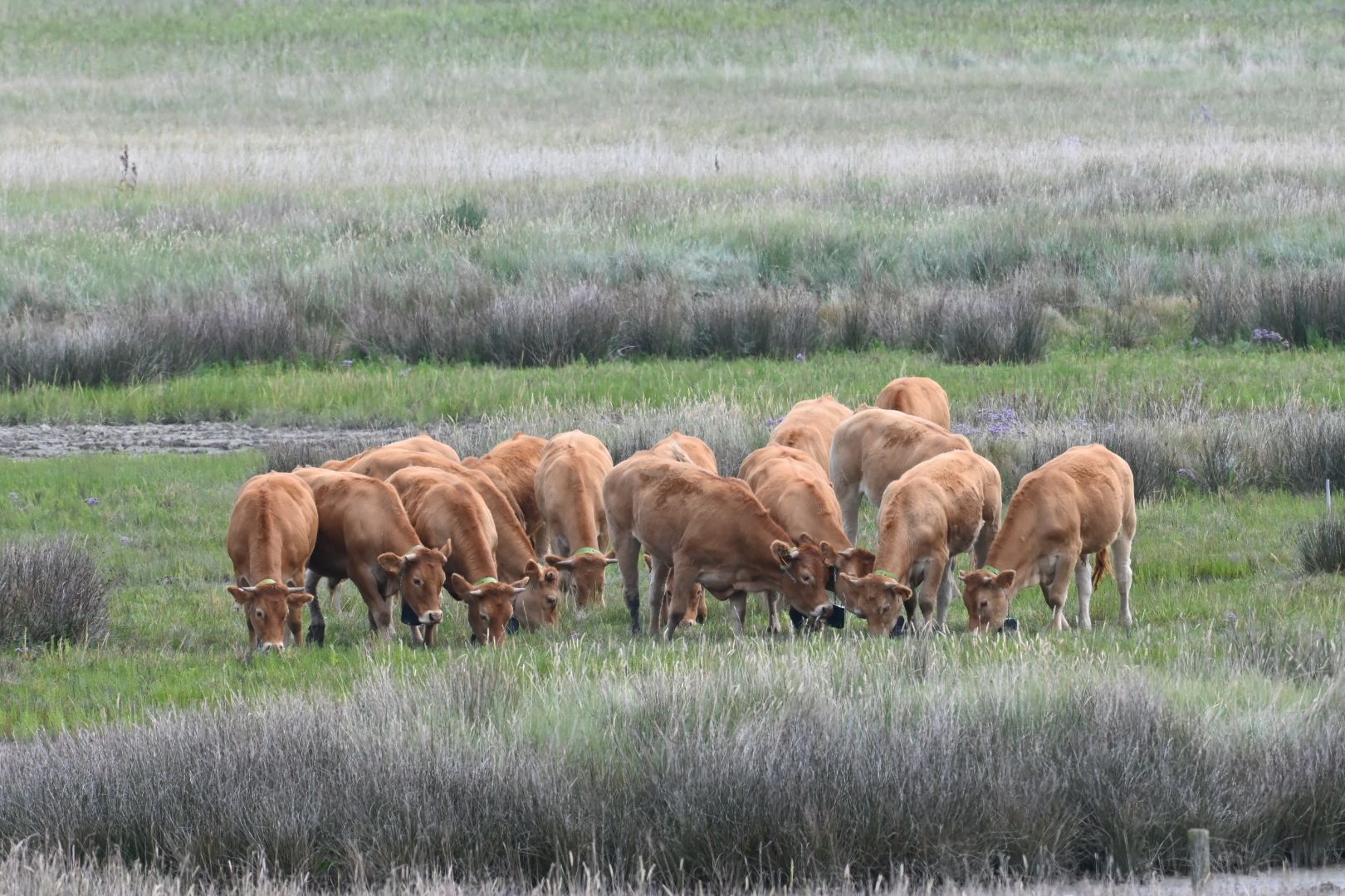 Richtlijnen natuurbeheer
