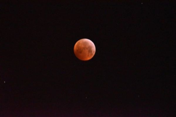 Bloedmaan