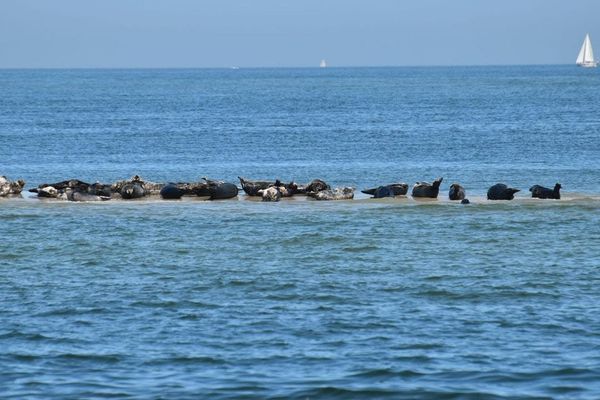 Eiland bewoners