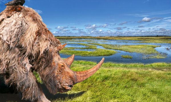 Doggerland - Zwin Natuur Park