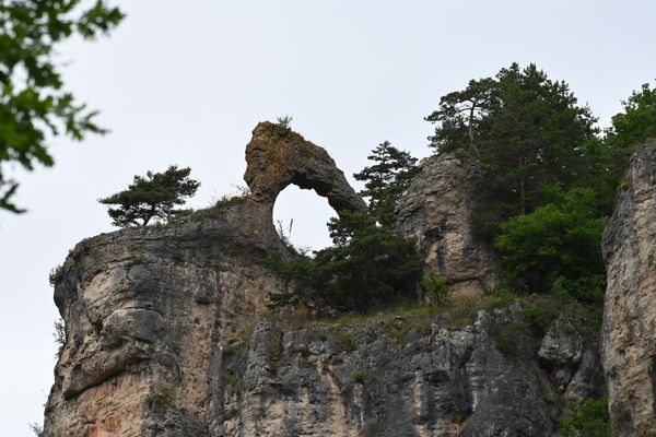 Cevennes '26